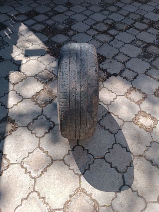 Продам шина р 16 летний