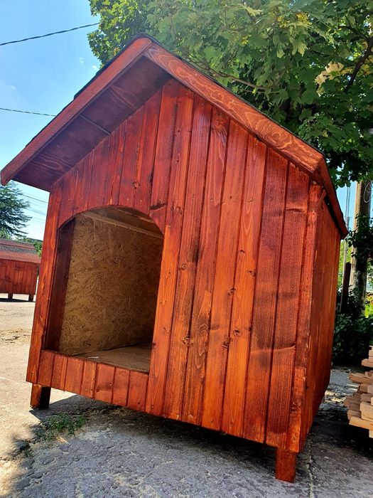 Coteț câine Chitila