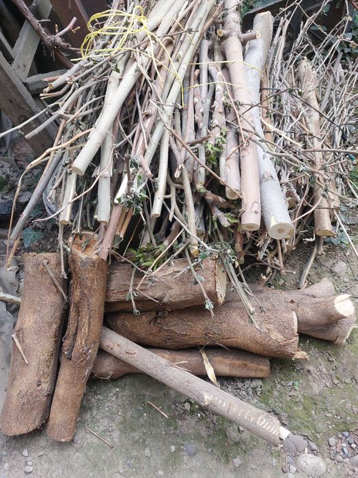 Продам Дрова и Хворост