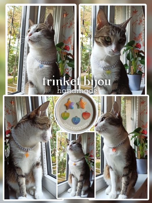 Ошейник для кошек и собак мелких пород с подвеской.