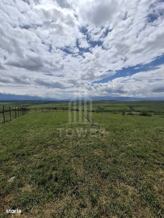 De vanzare, teren 11.500 mp – Dealul Dăii,  Vedere panoramică spre mun
