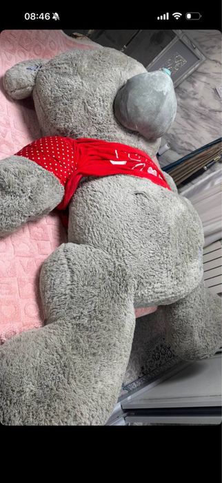 Taddy teddy sotiladi