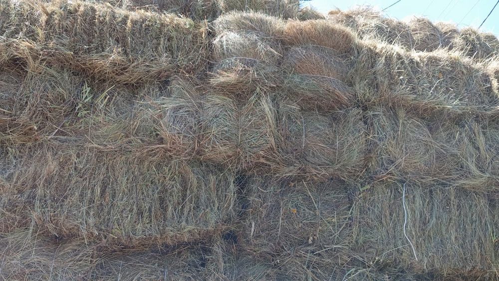 Продаю сено с доставкой