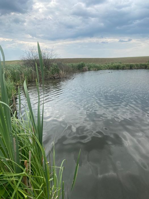 Teren intravilan de vânzare – Butimanu – Niculești
