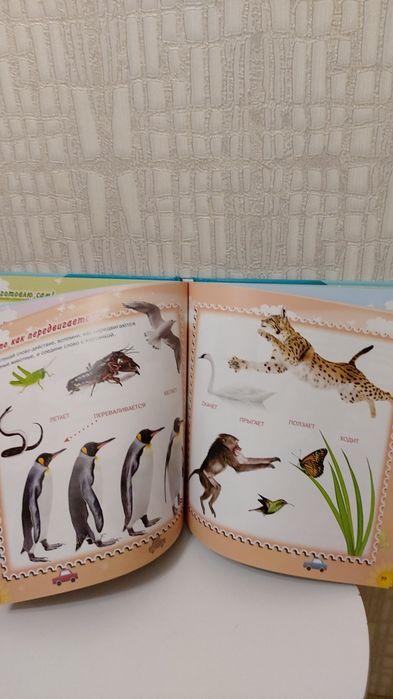 Продам книги развивающие.