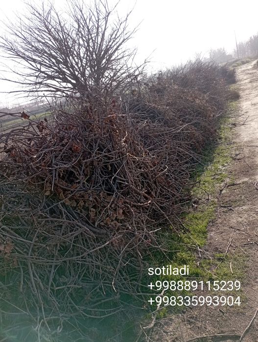 Utin samarqand sotiladi