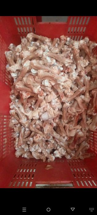 Yogʻ atxot jigar tovuq suyak toza maxsulotlari xamasi