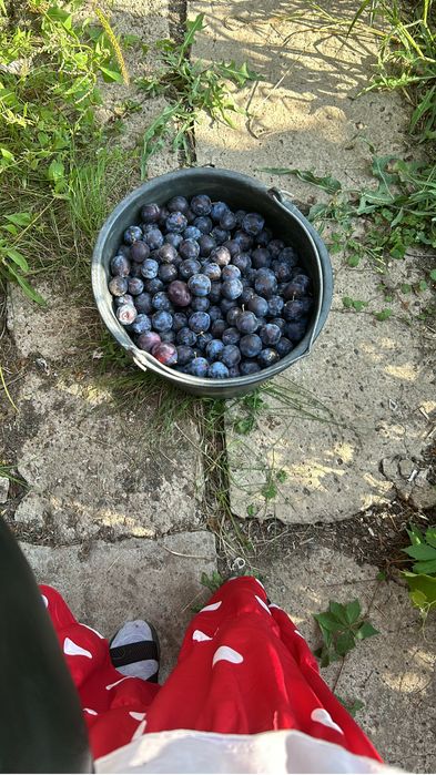 Подам или обменяю дачу в Уральске