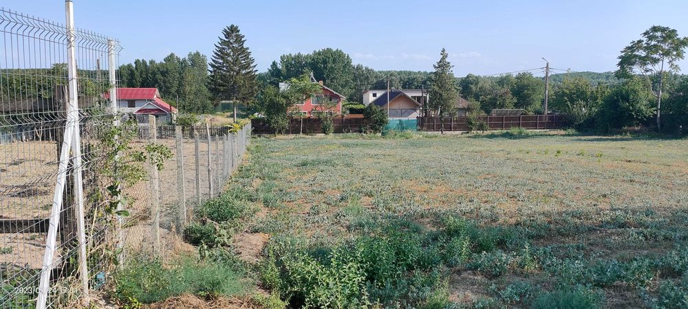 Teren  de inchiriat 2200m ,Com Borcea (CL), term lung-INTRAVILAN