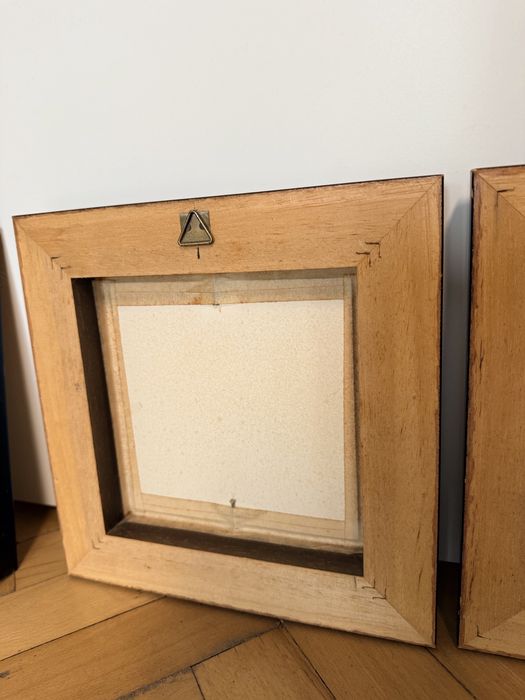 Картини с инсекти