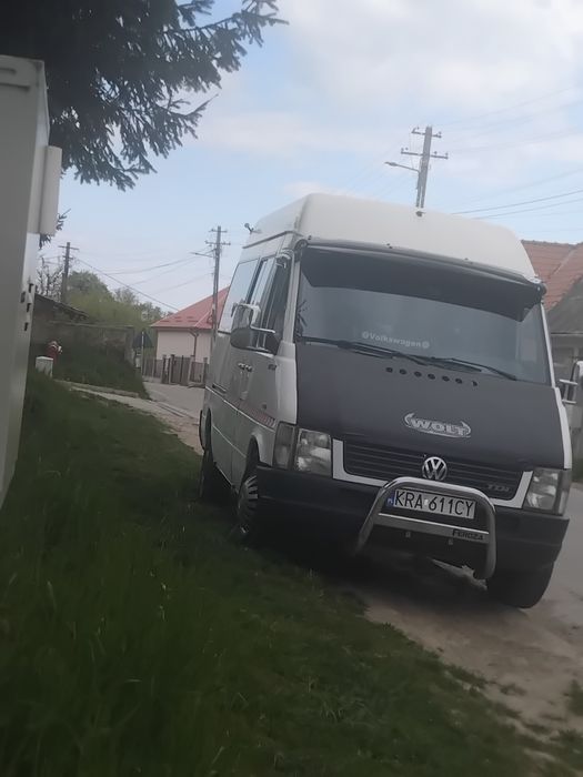 Vând elte de Polonia cu acte  valabile