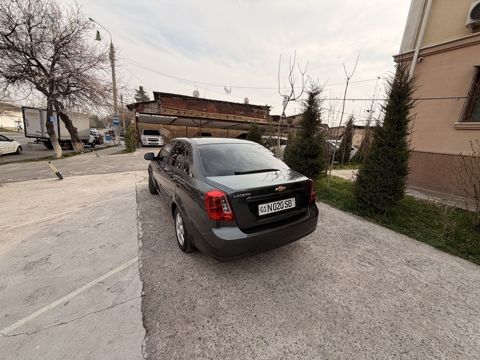 Жентра 2024 ранги мокрий !