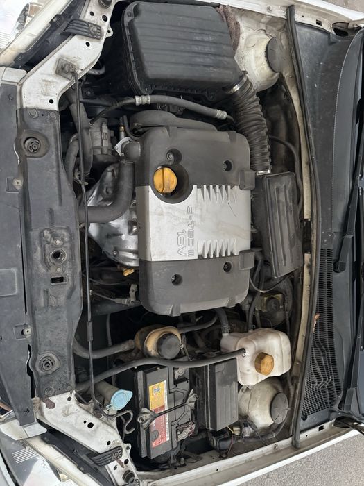 Lasseti 2009 lasseti