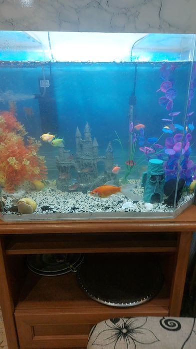 Продам аквариум 120л.
