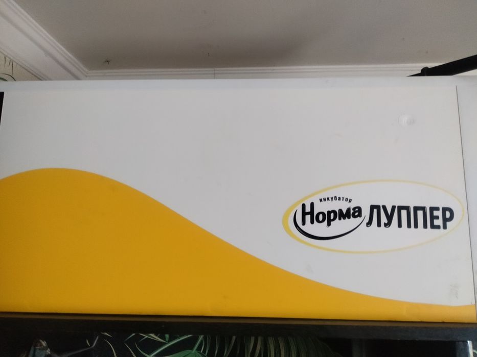 Инкубатор Норма лупер