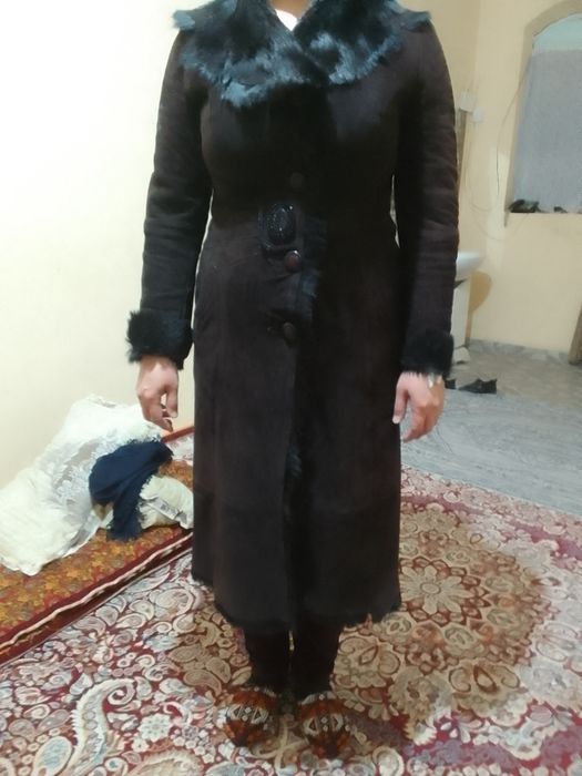 Туретиски диблонка