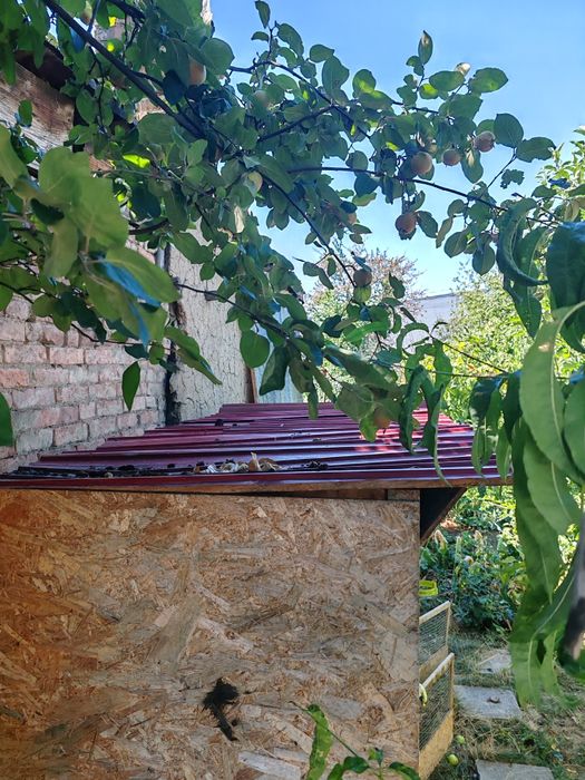 Cușcă iepuri cu 9 posturi din lemn