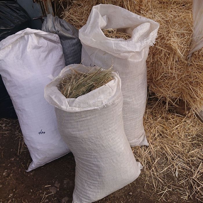 Продам мешки пустые 50 кг