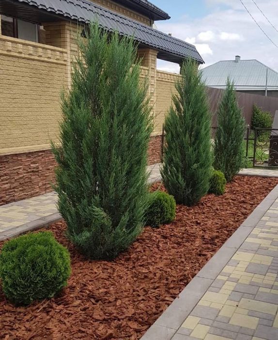 Ландшафтный дизайн