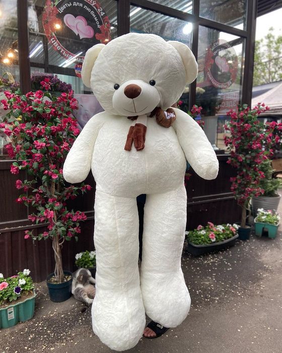 Плюшевые мишки 160 см