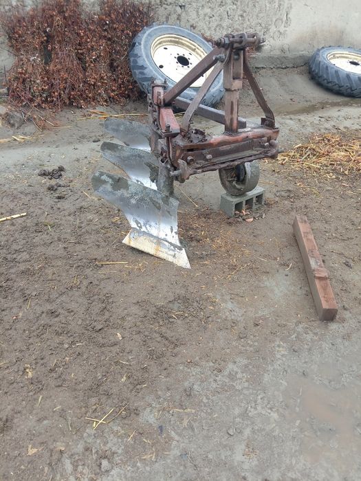 Pluk sotiladi edial holda