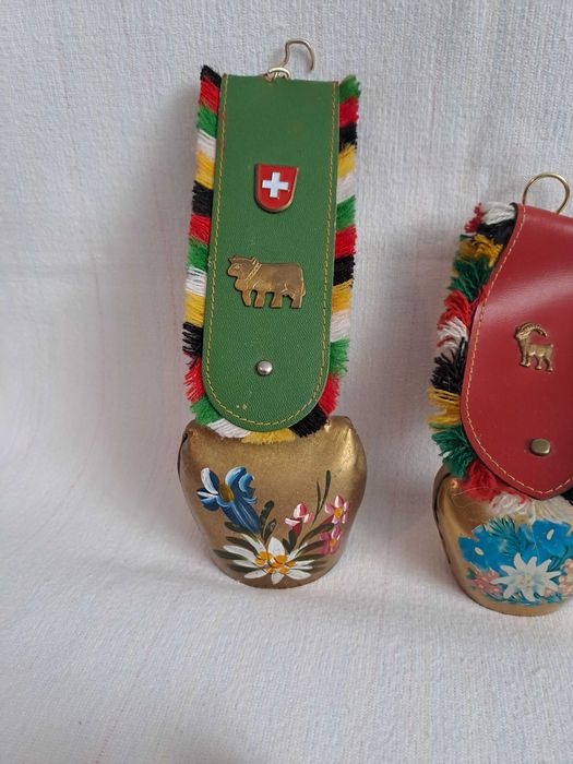 talanga elvetiana  24 cm curea