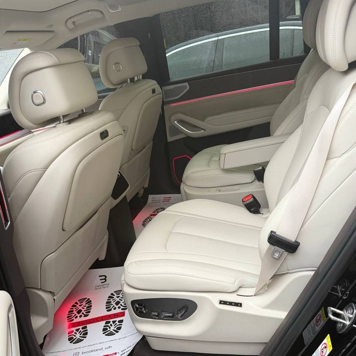 Denza n9 full pozotsiya