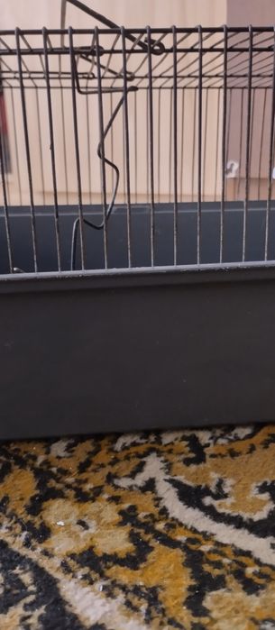 клетки старые от химиков