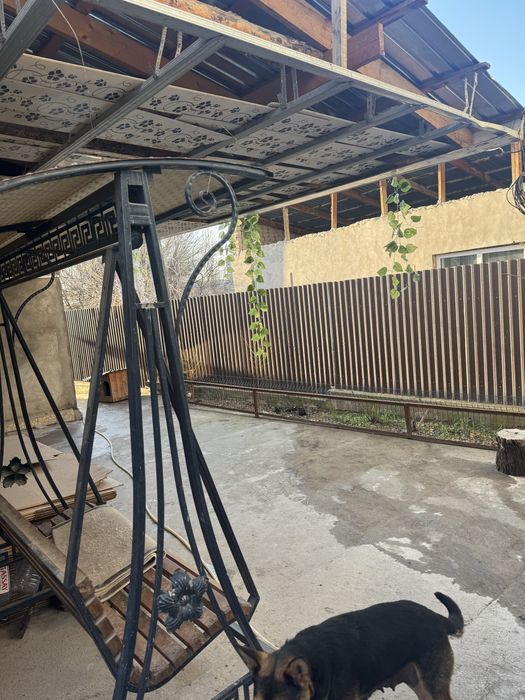 Продается 2 дома на одном участке!