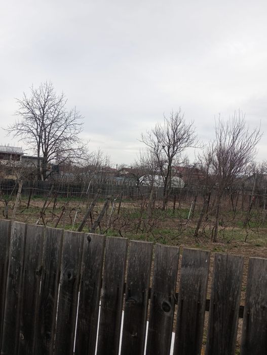 Teren intravilan, Săucești, centru.