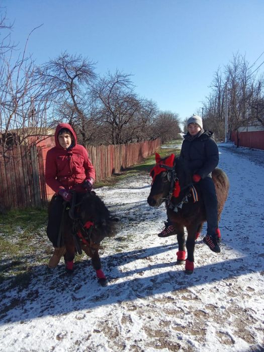 Poneiță ptr copii!