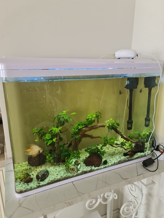 Продам аквариум 140 литров