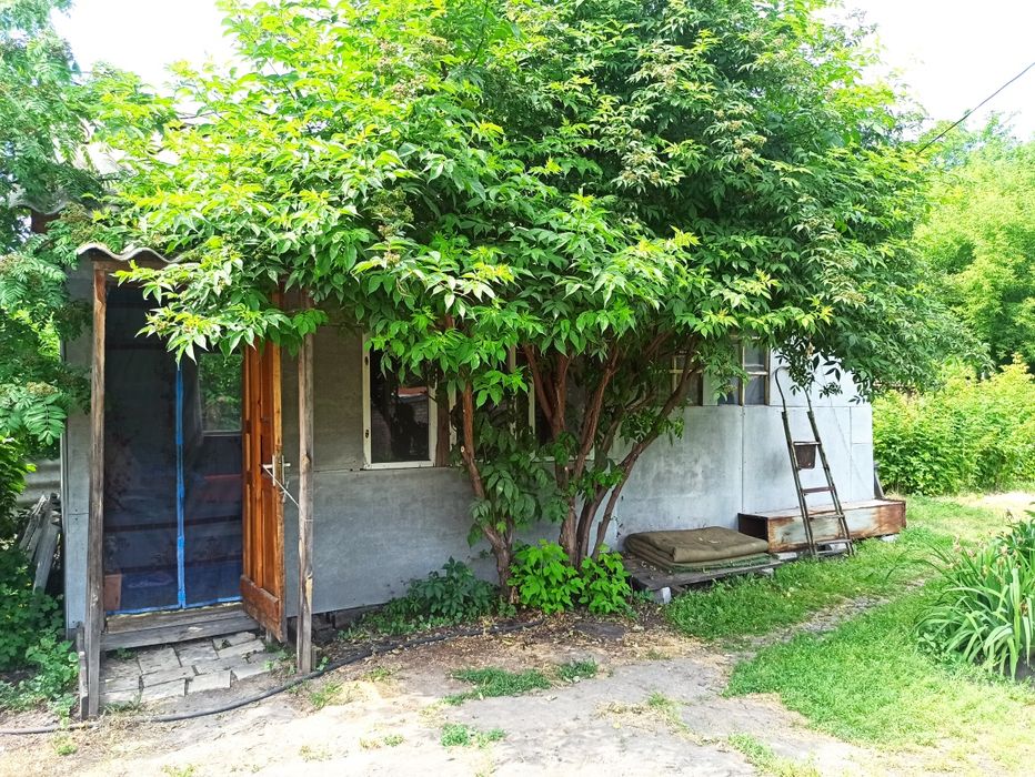 Продам дачу СО Восток оз.Пёстрое 8.5 соток