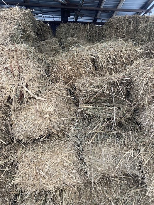 Продам сено разнотравье