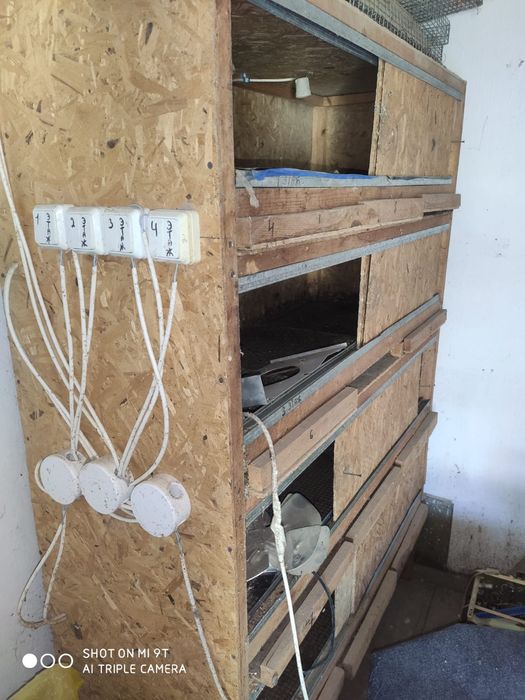 Клетки для перепелов