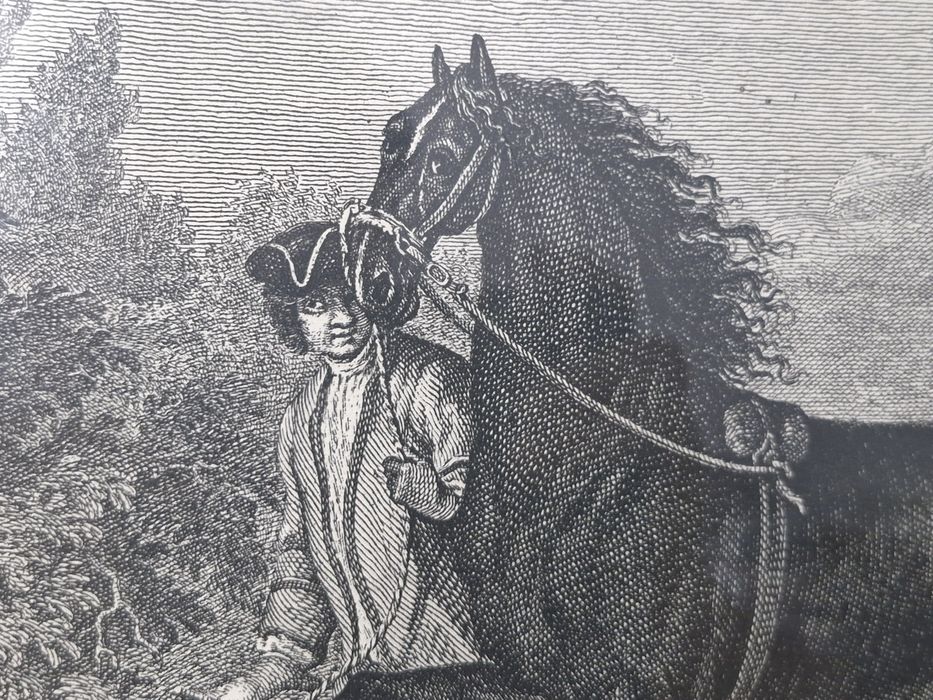 Tablou Gravură Johann Elias Ridinger