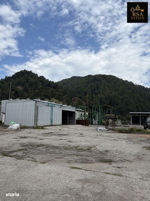Proprietate Industrială / Comercială 25.951 Mp – Brezoi, Valcea