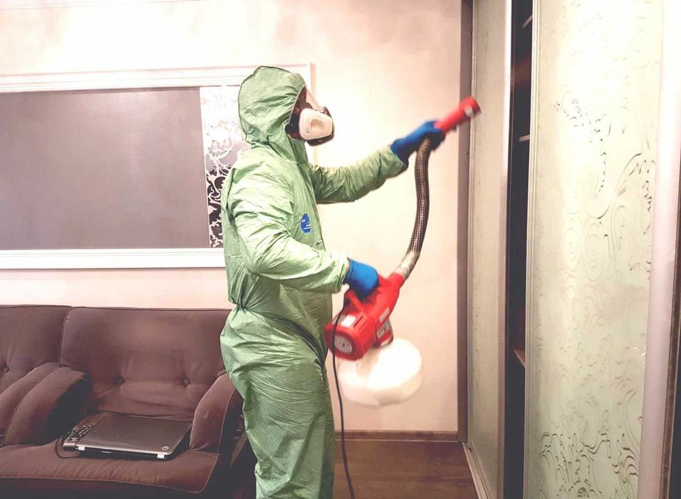 Дезинфекция клапа клоп таракан крыс Dezinfeksiya dezenfeksiya