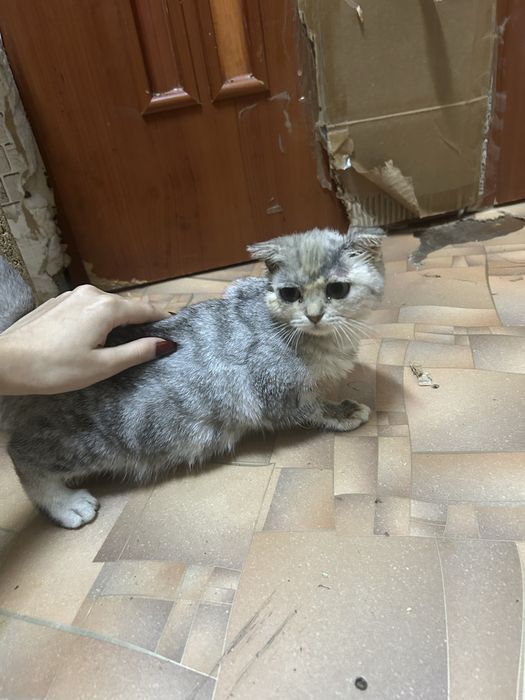 Читайте внимательно