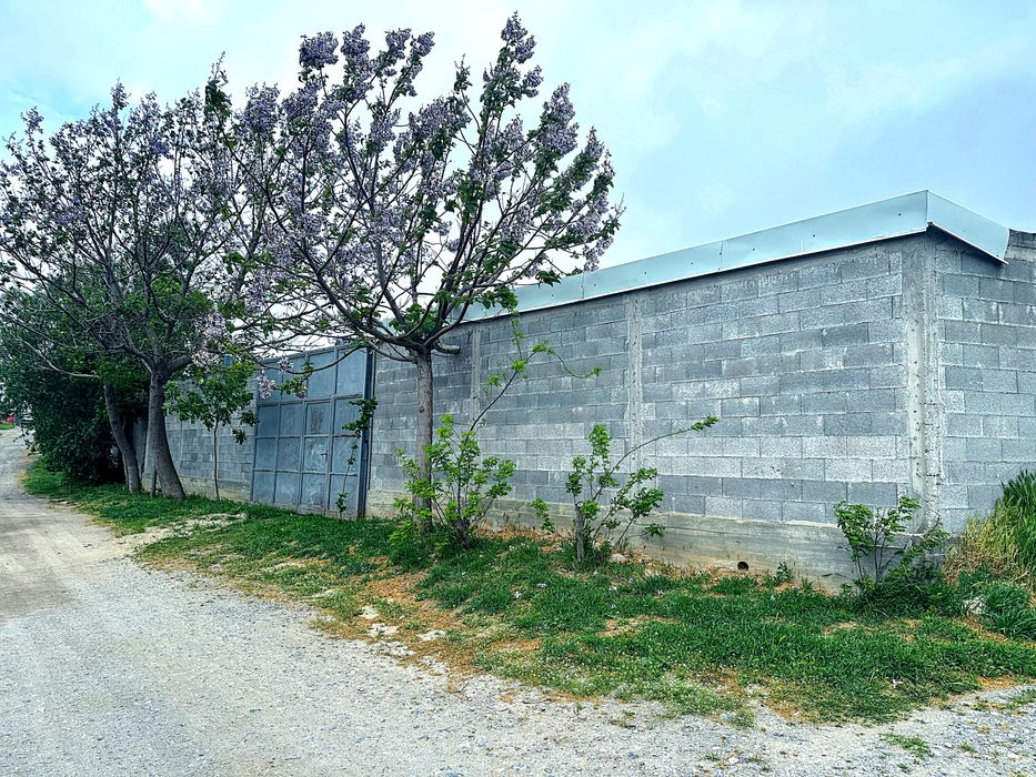 Proprietar – teren intravilan 1.522 mp, 2 intrări  utilități gard beton sere lac – zona CAP