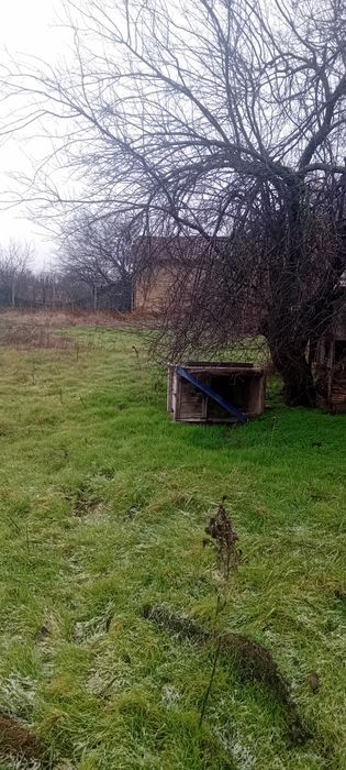 Продава се Къща в с. Златар, Област Шумен - 80 кв.м за 255 €/кв.м - Снимка #4