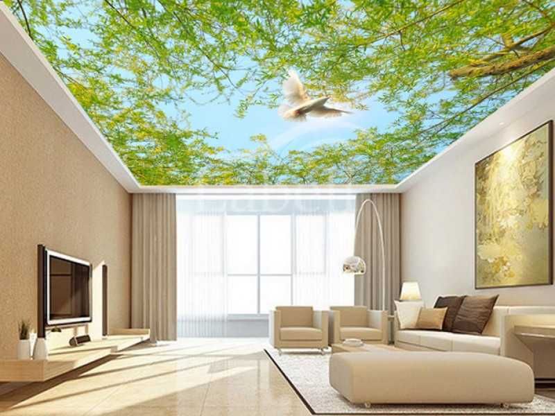 Натежной натежное natyajnoy natijnoy natyojni натяжные натяжной