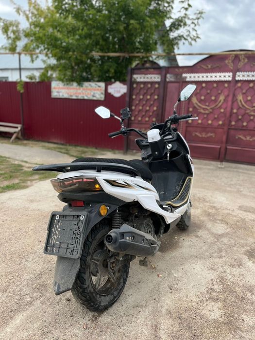 Макси 1 поколения