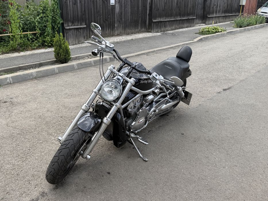 Harley Davidson vrsc v rod