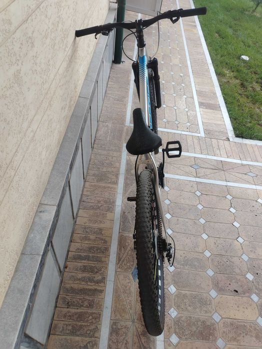 Viliseped zor 29