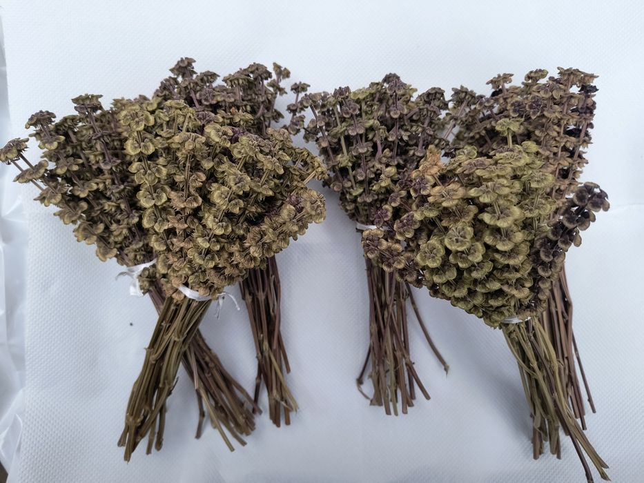 Buchete de busuioc pentru Bobotează