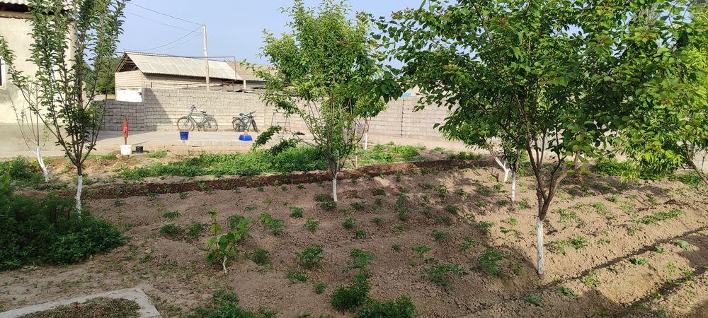 Uchaska 5 sotix srochna sotiladi