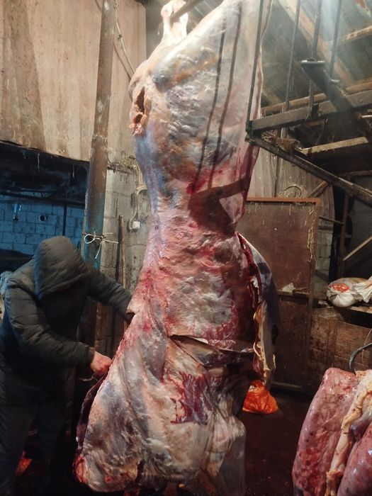 Вынужденый забой