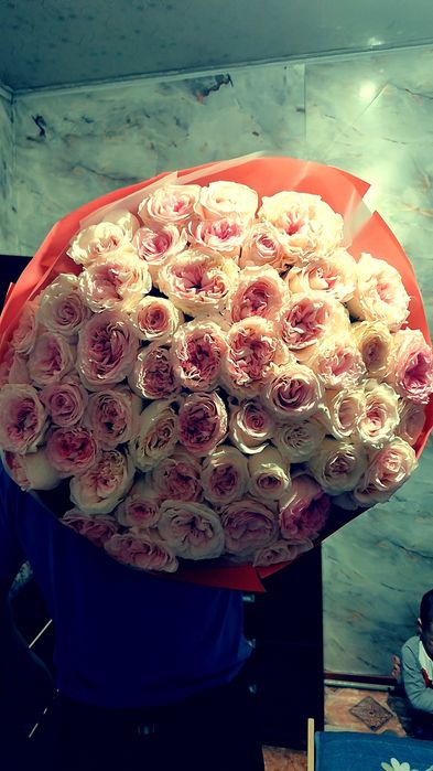 Цветы 51 роза отдам за 20к