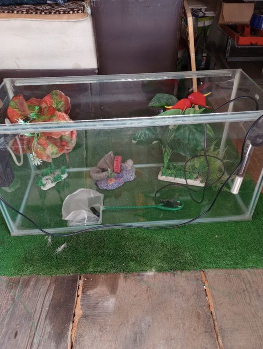 Acvariu .Este echipat cu încălzitor apa,filtru ,plante,ornamente